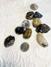 Load image into Gallery viewer, Geode Tumbled