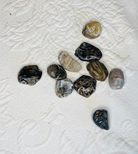 Load image into Gallery viewer, Geode Tumbled