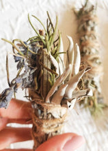 Load image into Gallery viewer, White Sage, Lavender and Rosemary Smudge Stick