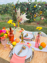 Load image into Gallery viewer, Smudge Sticks for a Picnic