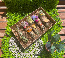 Load image into Gallery viewer, Smudge Stick With Flowers, Home Cleansing, Calming Gifts Women, Witchy Accessories, Meditation Altar, FRUIT Smudge Sticks
