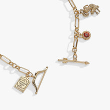 Load image into Gallery viewer, A Court of Thorns and Roses Book Covers Charm Toggle Bracelet
