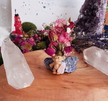 Load image into Gallery viewer, May include: A small, light brown troll figurine with a pink heart-shaped stone in its hand. The troll is surrounded by dried pink flowers and a blue stone.
