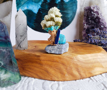 Load image into Gallery viewer, May include: A blue troll figurine holding a blue surfboard, surrounded by white flowers, on a wooden surface with a clear quartz crystal and a green fluorite crystal.
